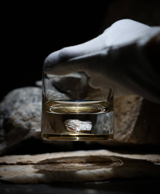 Dinosaur Bone Shard Tumbler (Series II) - Set of 2