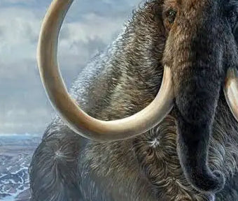Ice-Age Chronicles